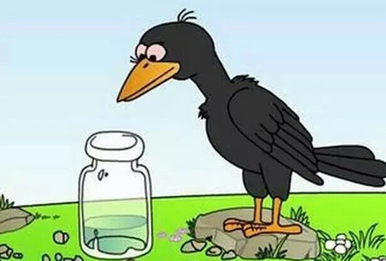 為什么說烏鴉是最聰明的鳥？